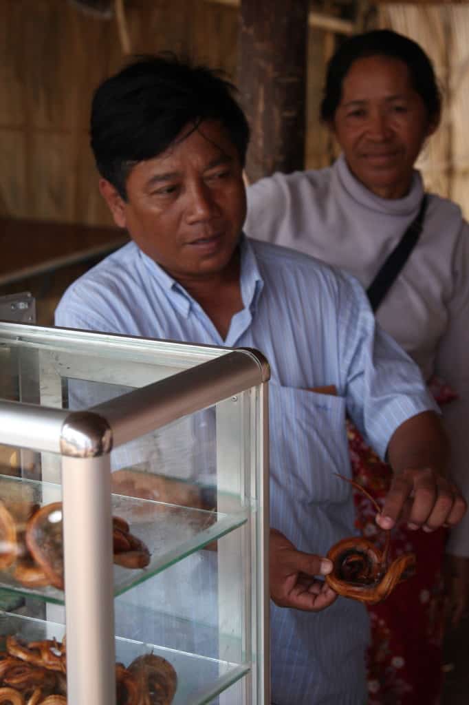 Frittierte Schlangen und Taranteln in Kambodscha