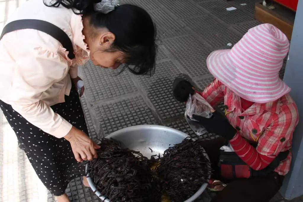 Frittierte Spinnen am Markt in Phnom Penh, Kambodscha