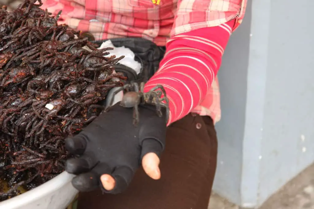 Frittierte Spinnen und Schlangen in Kambodscha