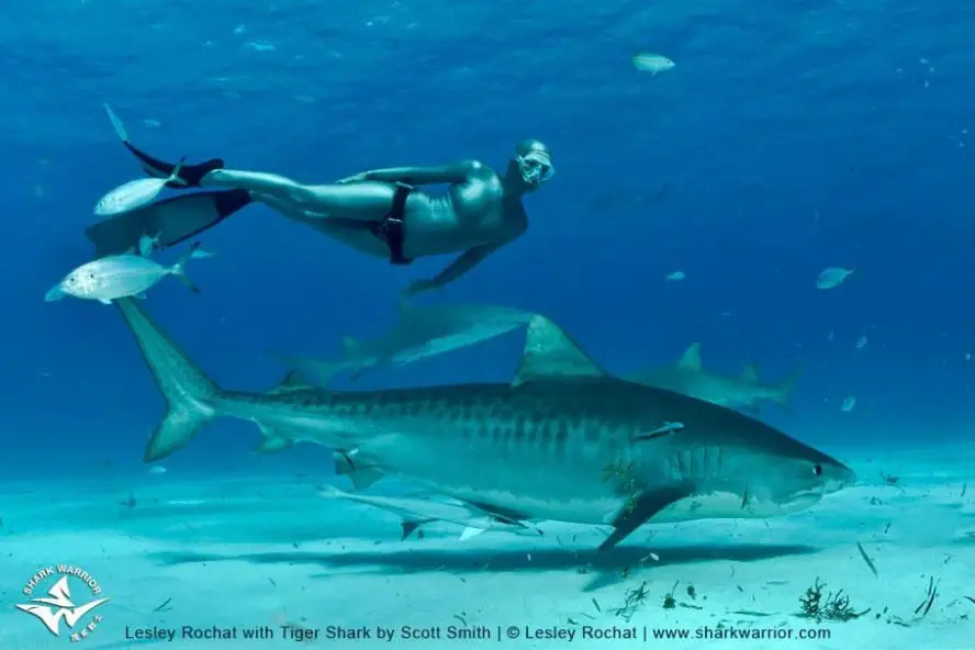 Shark Warrior Lesley Rochat