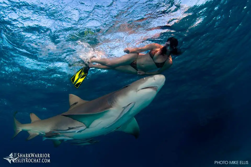 Shark Warrior Lesley Rochat