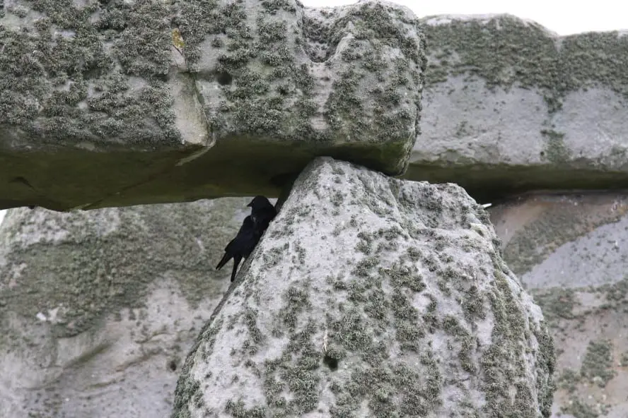 Detail at Stonehenge, England