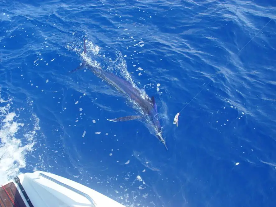 Crossing the Atlantic Ocean - 5 Tips