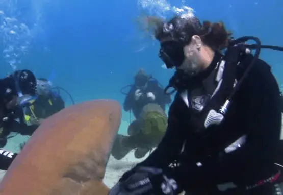Shark Whisperer Sara Brenes