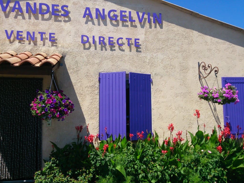 Lavendelfelder der Provence - Entlang der Lavendelroute im Süden Frankreichs