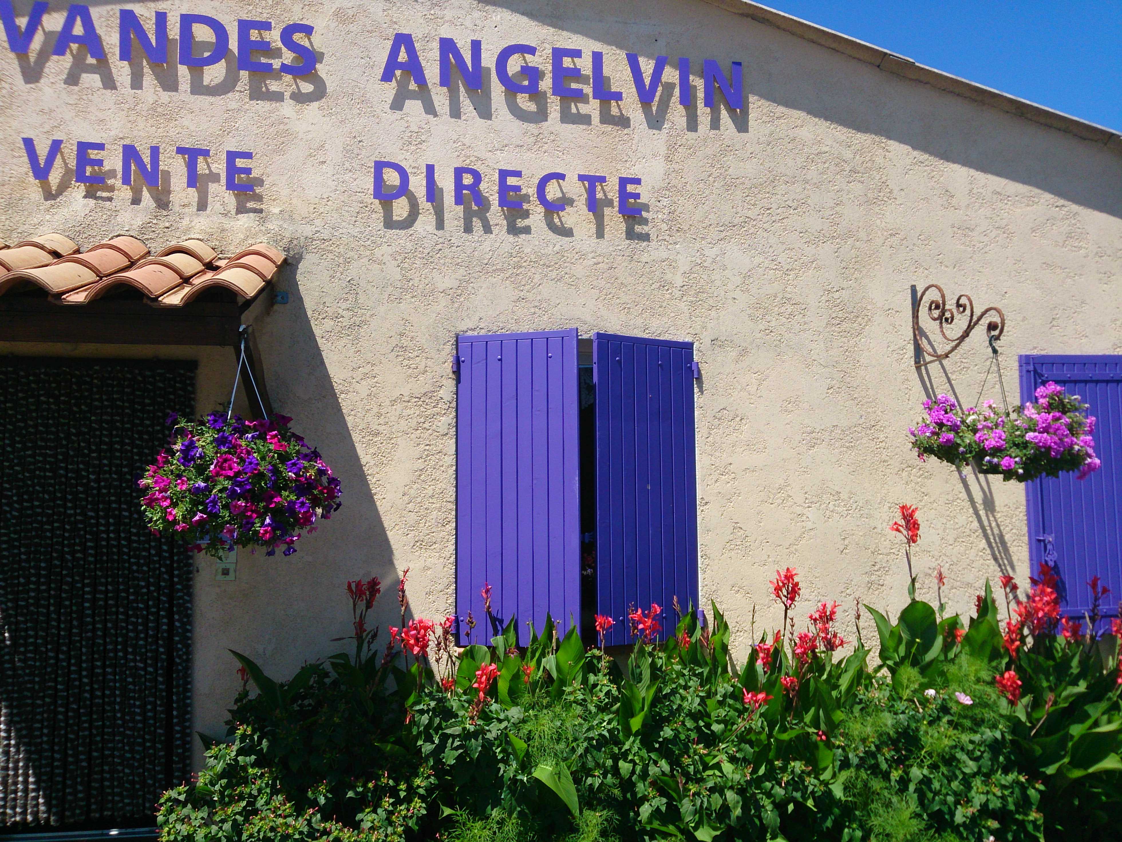 Lavendelfelder der Provence - Entlang der Lavendelroute im Süden Frankreichs