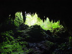 Camuy Caves - A Guide To The Hidden Puerto Rico Caves