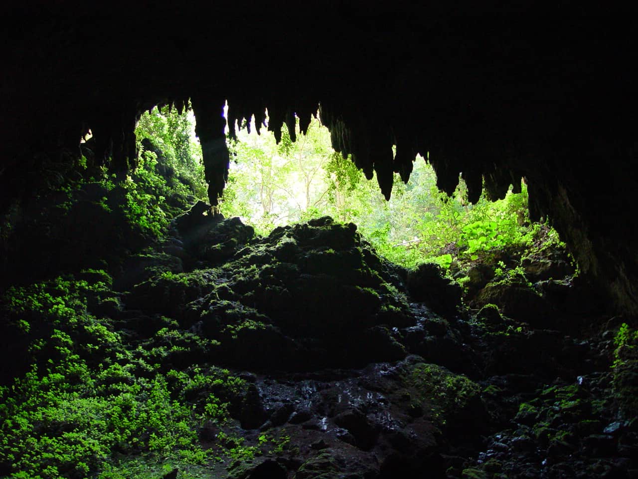 Camuy Caves - A Guide To The Hidden Puerto Rico Caves