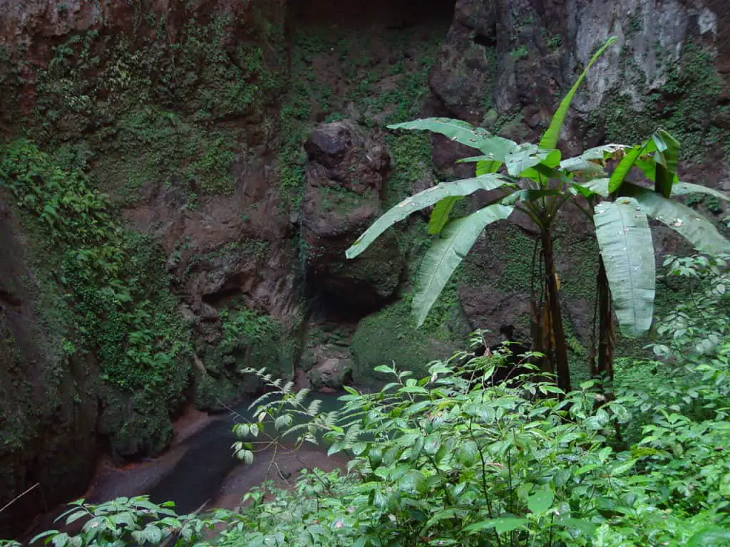 Camuy Caves - A Guide To The Hidden Puerto Rico Caves