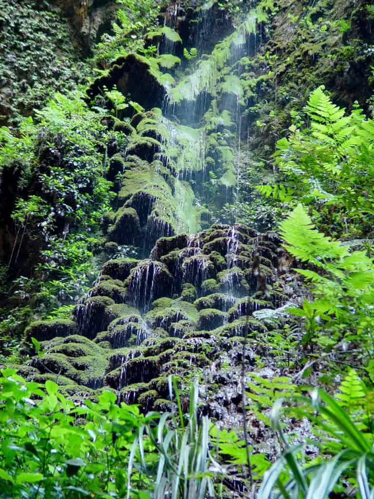Camuy Caves - A Guide To The Hidden Puerto Rico Caves