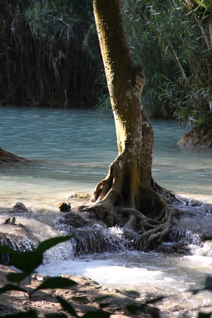 Khouang Waterfalls in Laos 