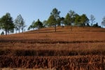 Laos plateau