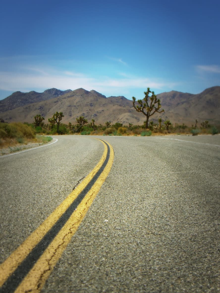 Joshua Tree California