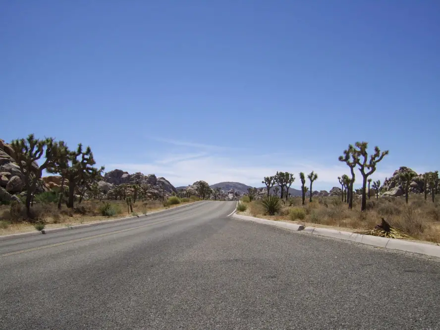 Joshua Tree Kalifornien die schönsten Roadtrips beste Straßen weltweit
