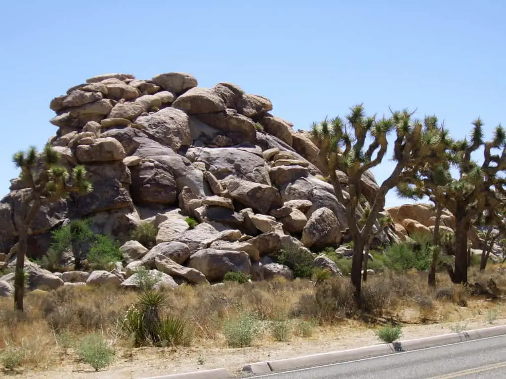 Highlights im Joshua Tree National Park, Kalifornien