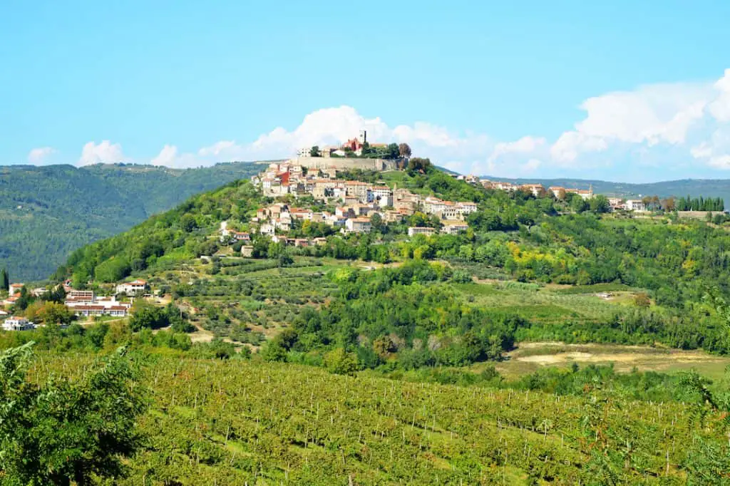Blick von der Ferne auf den Hügel mit Motovun; im Vordergrund bewirtschaftete Felder