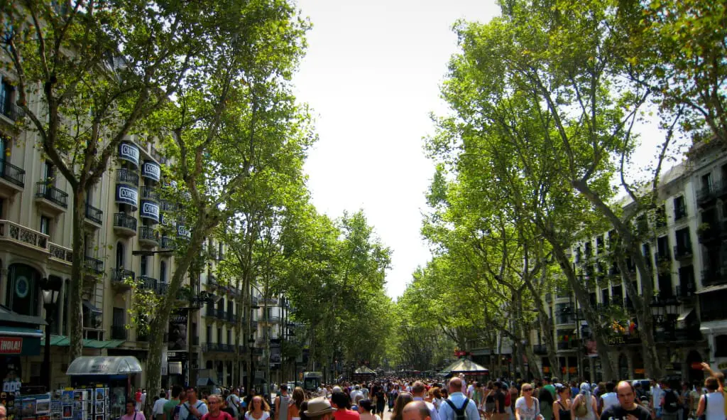 Die besten Tipps für Barcelona: Im Bild Las Ramblas