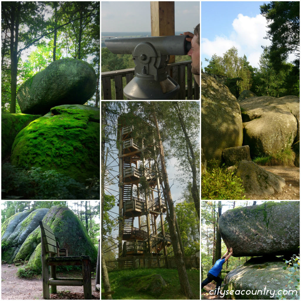 Genussreisetipps (nicht nur kulinarisch) aus dem Waldviertel