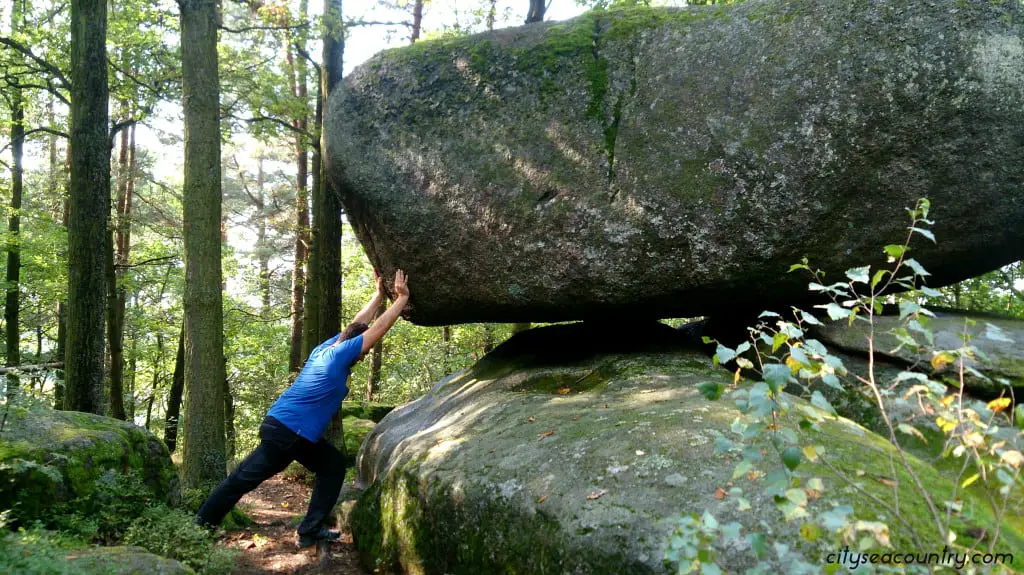 Genussreisetipps (nicht nur kulinarisch) aus dem Waldviertel
