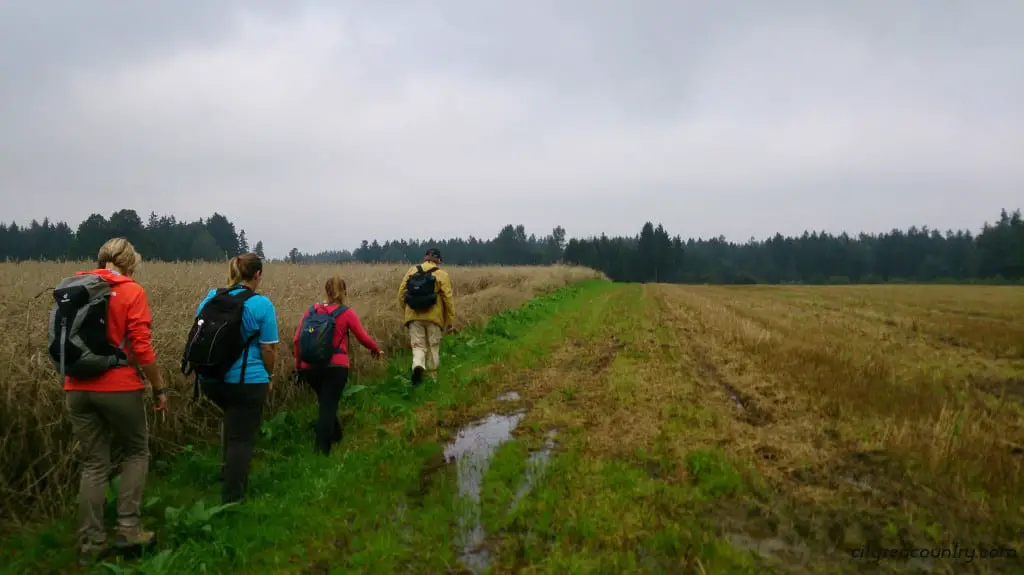Waldviertel, Austria - Hiking along the 20 km long Weitwanderweg