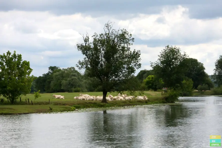 Idylle am Fluss