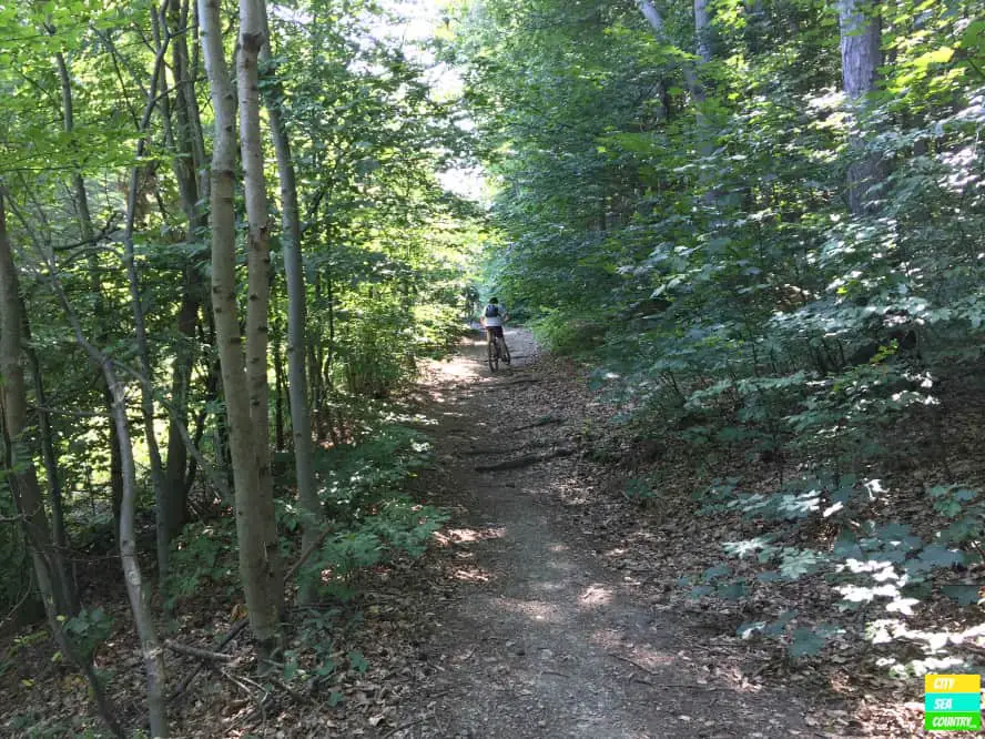 Mountain Biking in Austria - Wienerwald