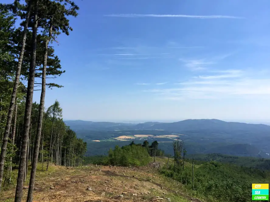 Mountain Biken im Wienerwald: Lindkogel-Route bei Baden