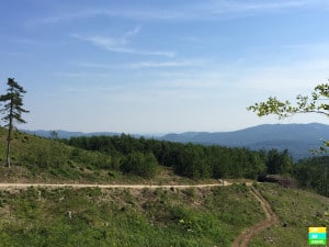 Ein kurzes Stück fahren wir ungeschützt in praller Sonne (34 Grad).