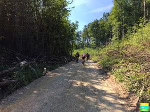 Mountain biking im Wienerwald bei Baden