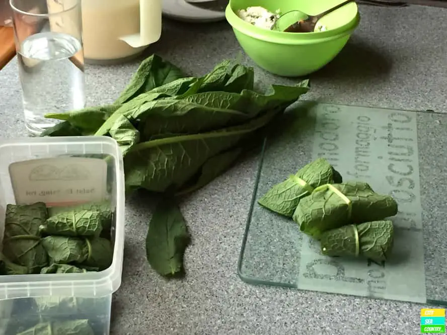 Cooking with fresh herbs in Salzburg