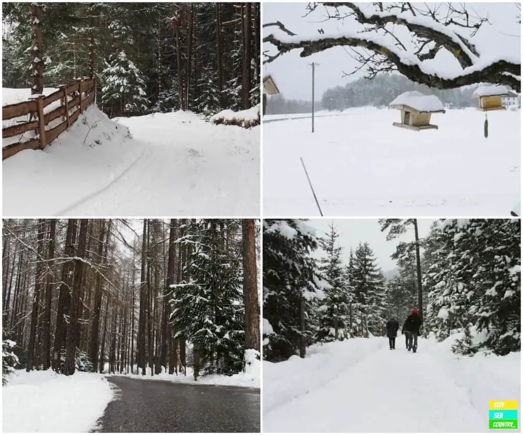 Winter in Obsteig - Landhotel Stern