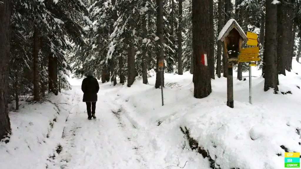 Winterwanderung in Obsteig