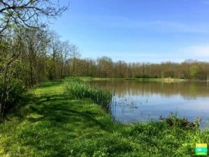 Frühling im Areal der Vila Vita Pannonia