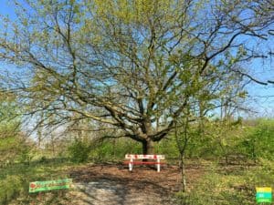 Beliebtes Fotomotiv: Neben dem Herzbankern sind vor allem...