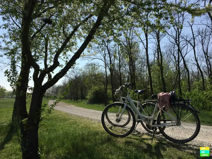 Exploring the area