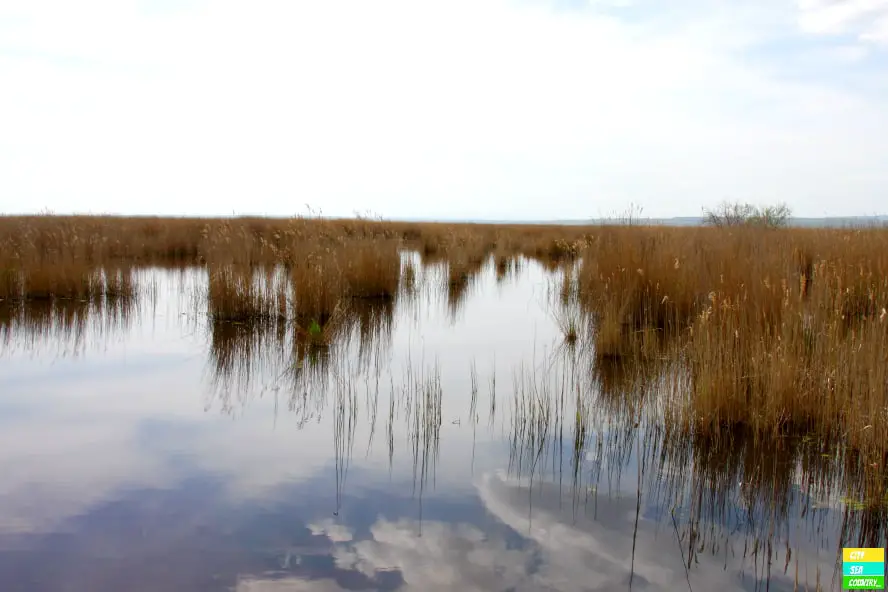 Nationalpark Illmitz Neusiedlersee