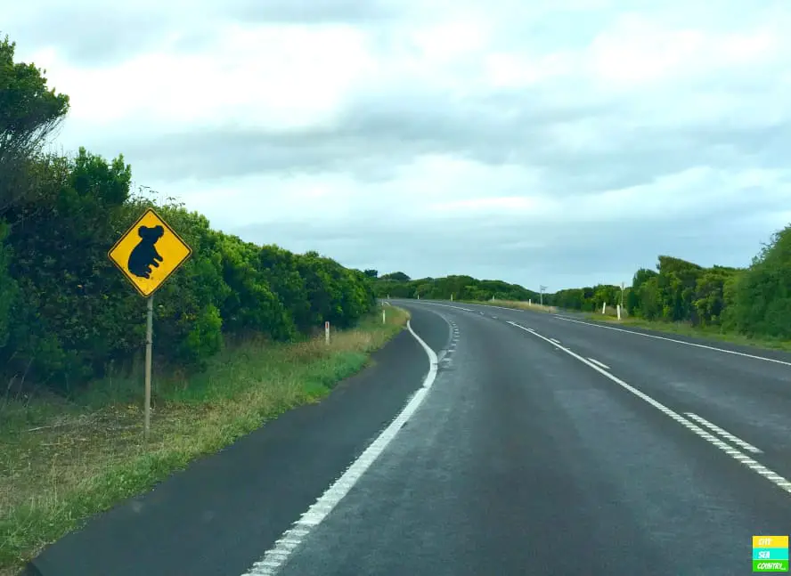 Tipps fürs Links fahren in Australien