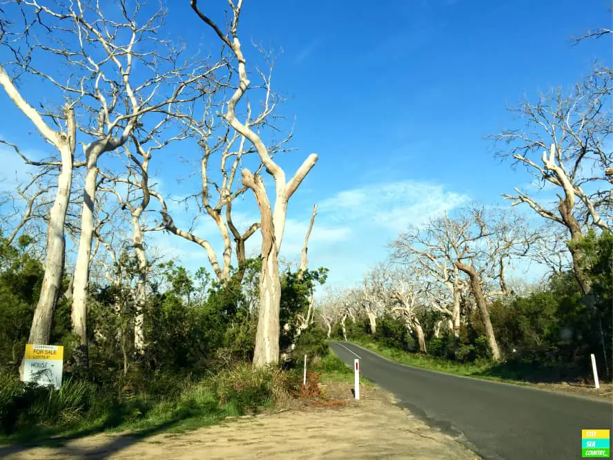 Tipps zum Links fahren in Australien
