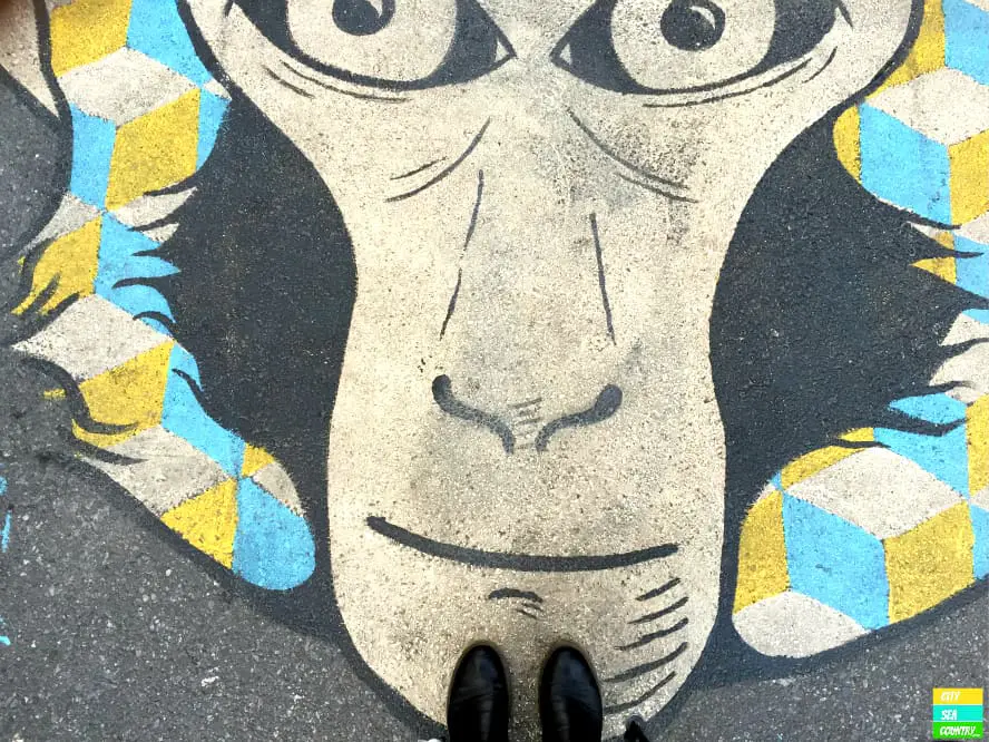 street art adelaide australia
