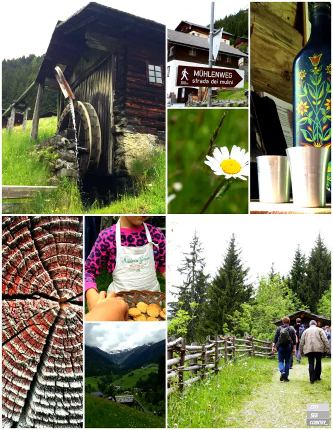 Slow Food Travel Mühlenweg im Lesachtal