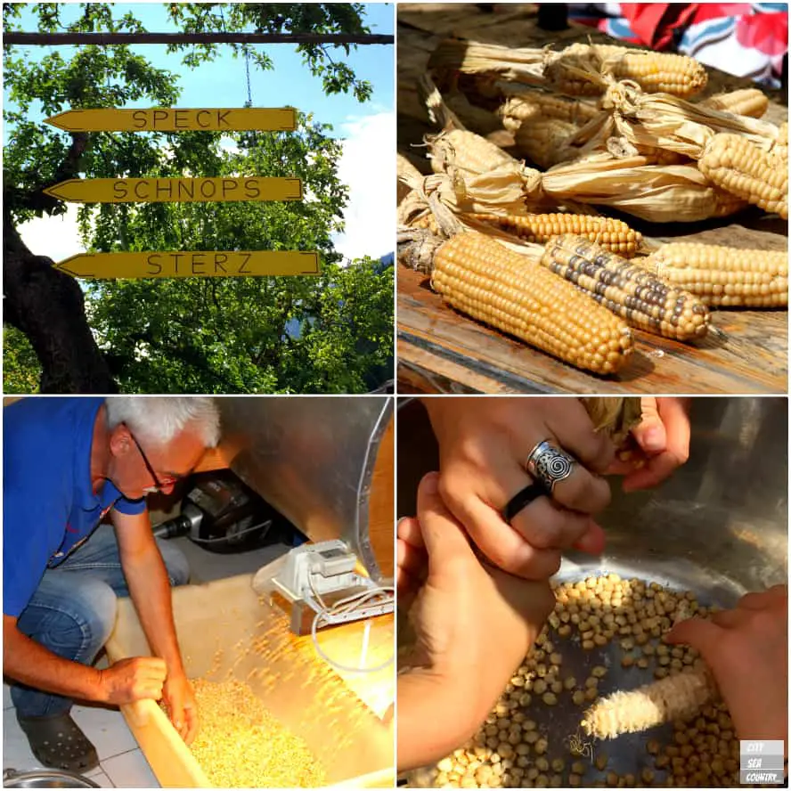 Slow Food Travel Weißer Landmais