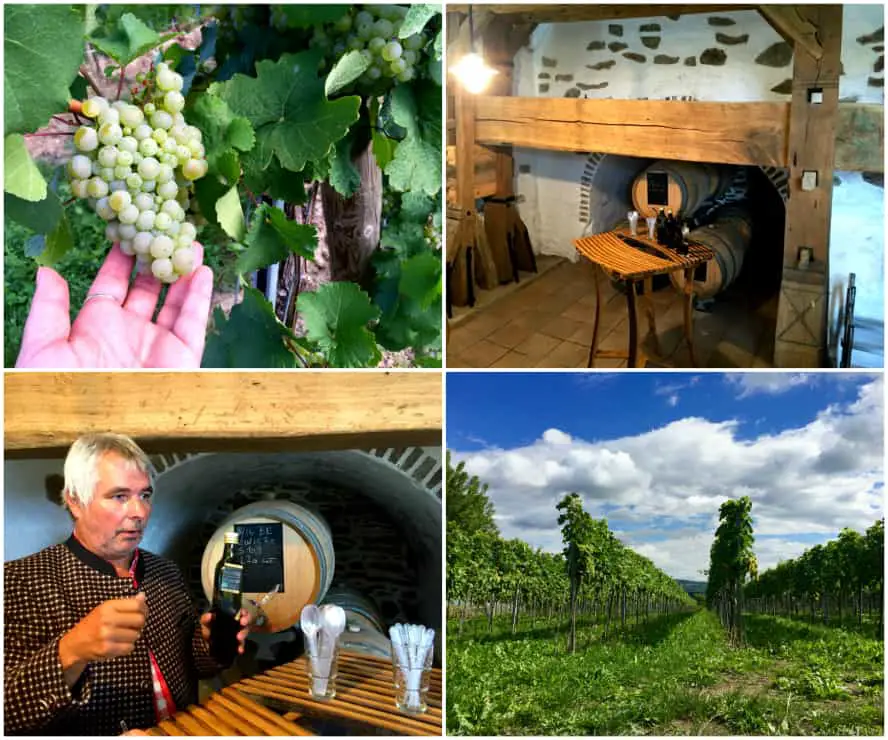 tipps-fur-die-wachau-ein-tag-in-krems-und-umgebung