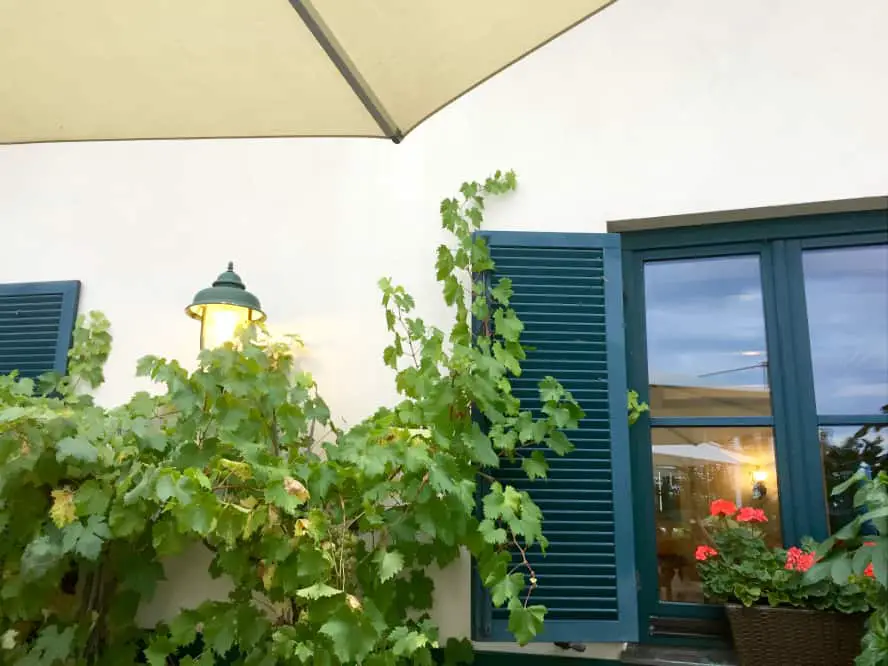 veganes-menu-steigenberger-hotel-and-spa