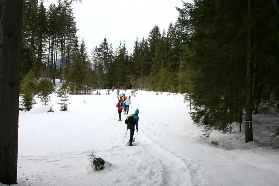 Schneeschuhwanderung in Abtenau, Salzburger Land