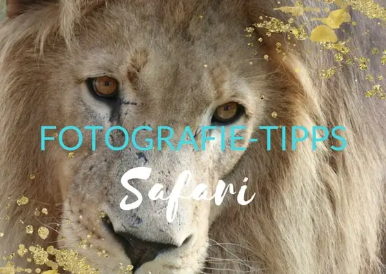 Fotografieren auf Safaris: Die wichtigsten Tipps