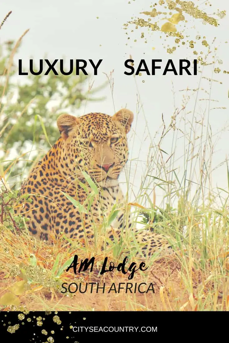 Luxury Safari in South Africa