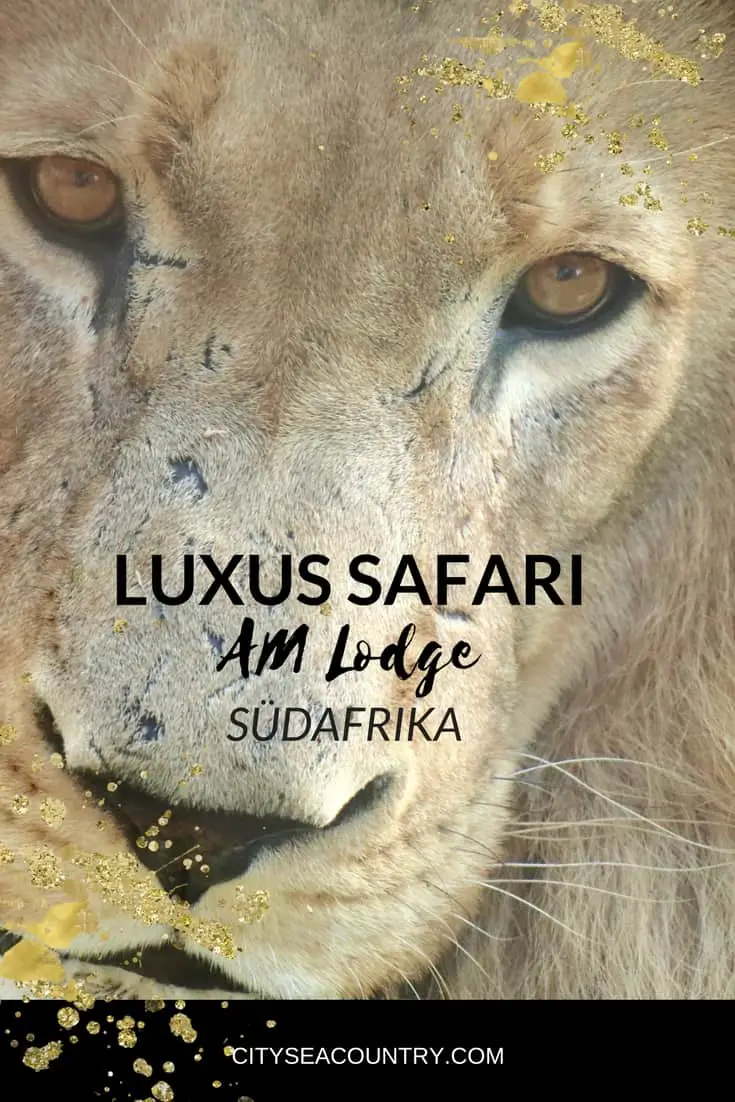 Luxus-Safari Lodge in Südafrika: Alles Wissenswerte und Videoeindrücke über die AM Lodge am Rande des Krüger Nationalpark