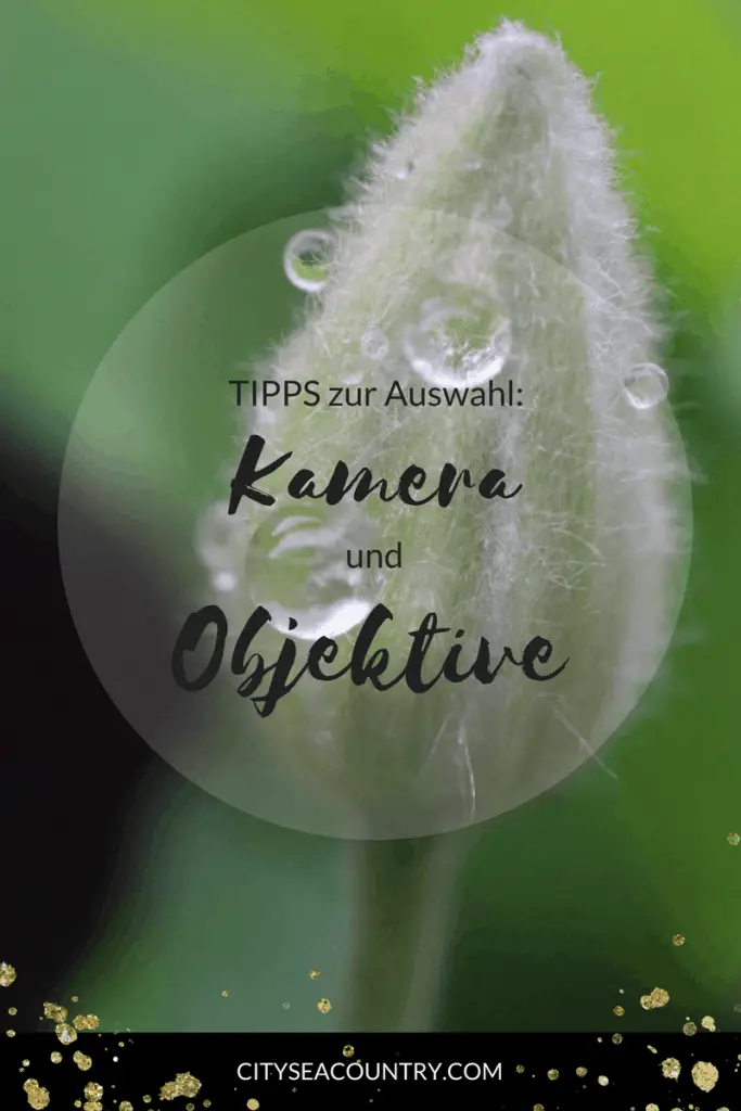 Tipps Auswahl kaufen der richtigen Kamera Objektive Canon