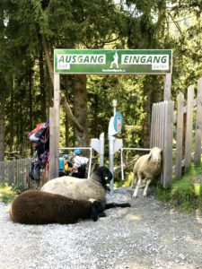 7ways2travel: Sommerurlaub in Hinterglemm