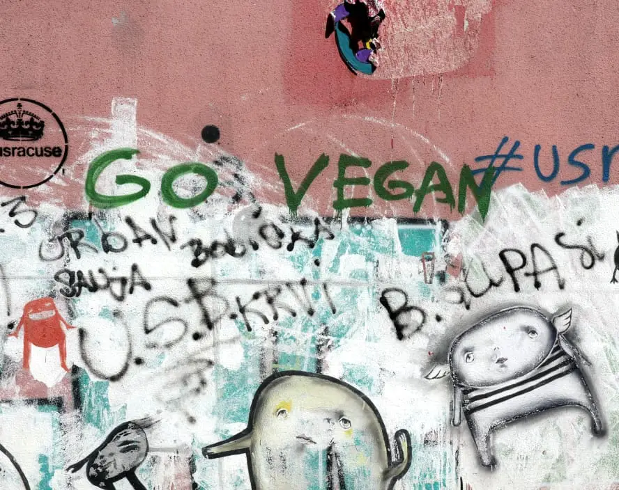 vegane restaurants belgrad novi sad fruska gora serbien